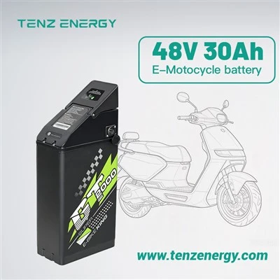 48V E‑Bike LiFePO4 Battery With Multi‑Capacity For E‑Trike Three Wheeler Replacement Battery Philippine Market China Factory