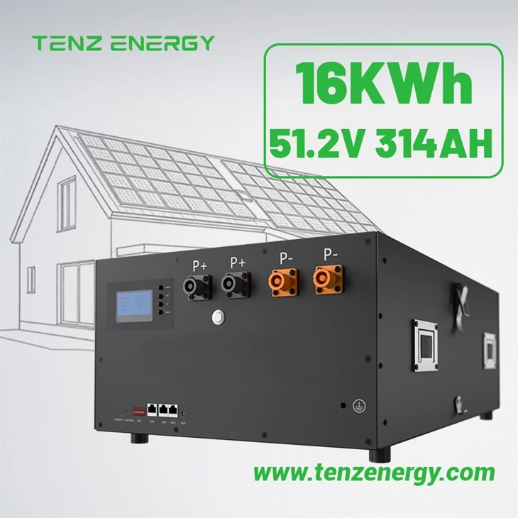51.2V 314Ah LiFePO4 Energy Storage Battery With Smart BMS