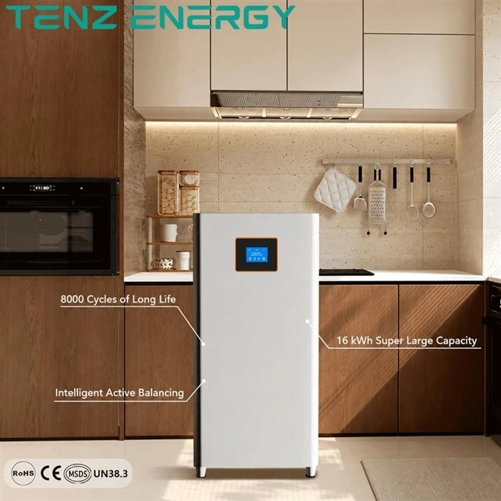 TENZ-MASON 314L-O video 3-